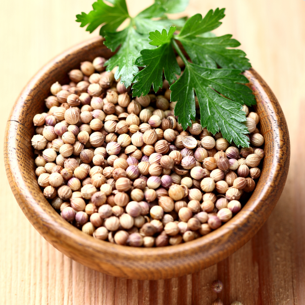 Coriander Seed