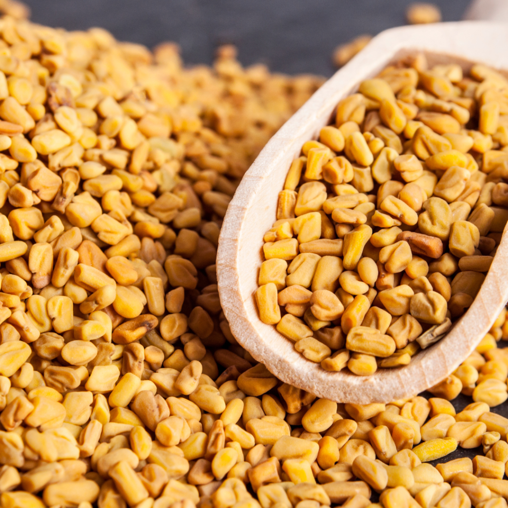 Fenugreek