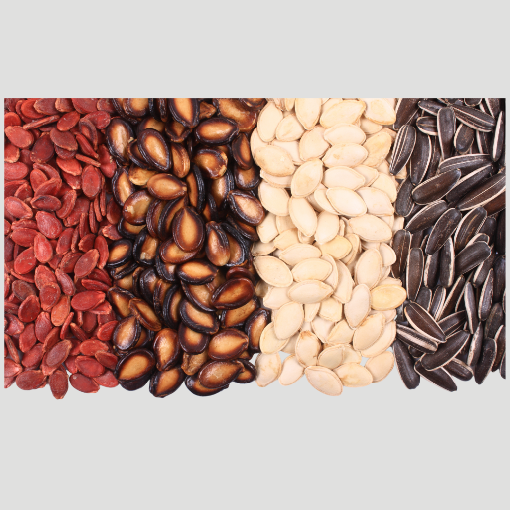 Seed Spices