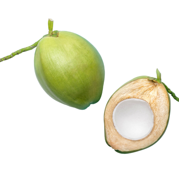 coconut